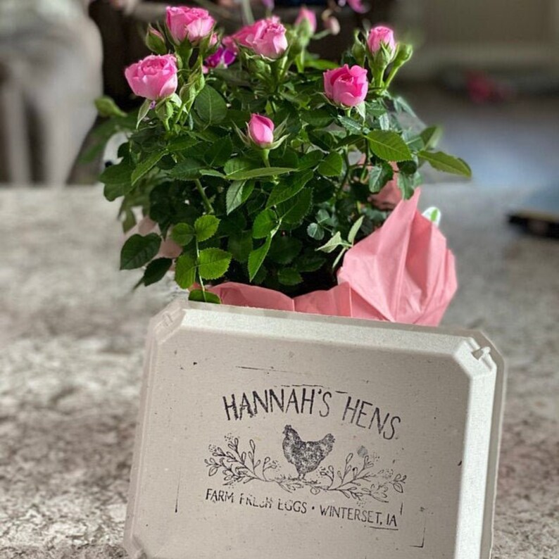 May include: A potted miniature rose plant with vibrant pink blossoms and green leaves, positioned behind a light-colored, rectangular cardboard egg carton. The carton features black text reading HANNAH'S HENS, FARM FRESH EGGS, WINTERSET, IA.