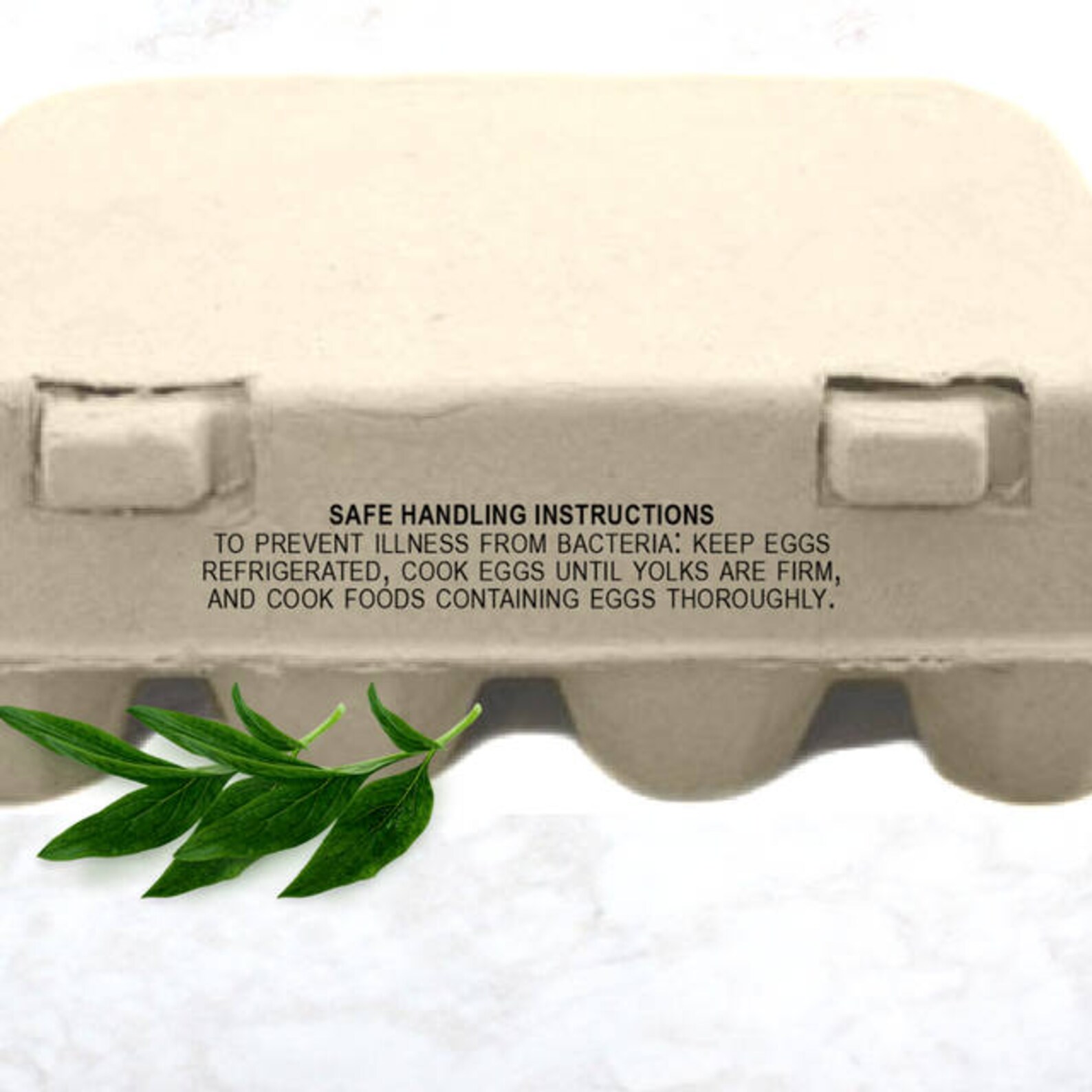 FDA Egg Stamp Egg Carton Stamp Food Safety Safe Handling Etsy