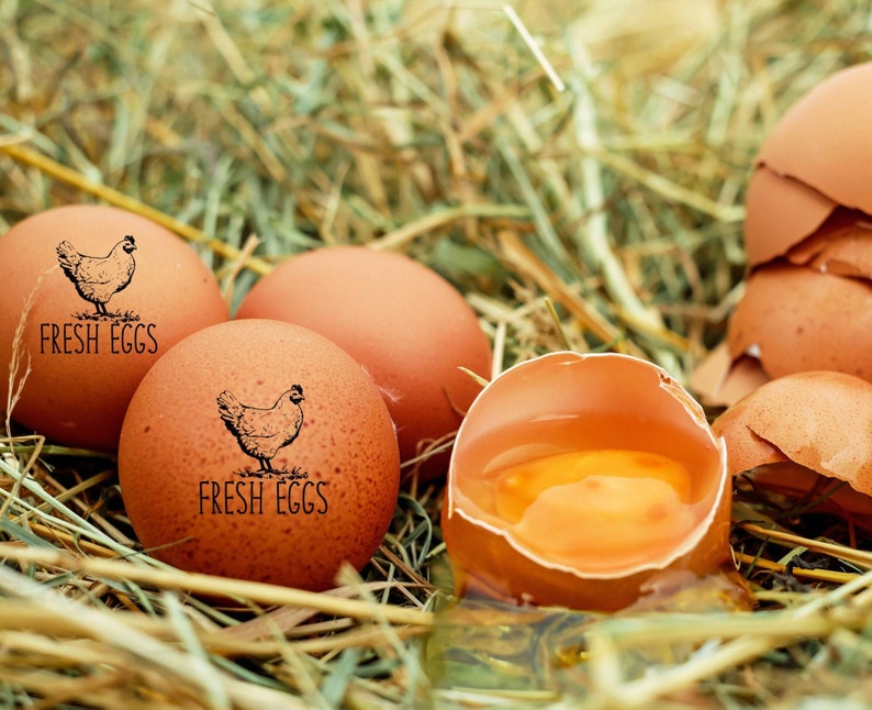 K&ouml;nnte beinhalten: Mehrere braune H&uuml;hnereier, einige ganz und einige zerbrochen, mit einem schwarzen Stempelaufdruck eines Huhns und dem Text FRESH EGGS. Ein Ei ist aufgebrochen und zeigt ein leuchtend gelbes Eigelb sowie klares Eiwei&szlig; in den Schalen.