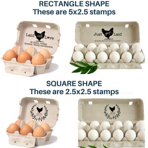 May include: Two egg cartons, one rectangular and one square, with different designs. The rectangular carton has 12 white eggs and the text "Just got Laid" on the top. The square carton has 6 brown eggs and the text "Fresh Eggs" on the top.
