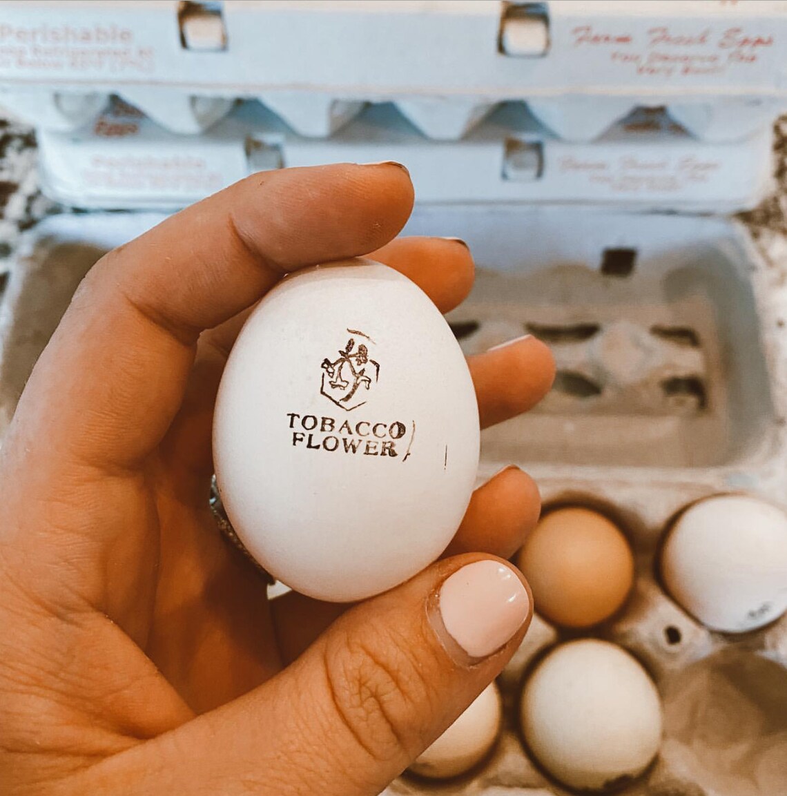 Custom Stamp for Eggs Custom Farm Stamp Farm Logo Your ART Etsy