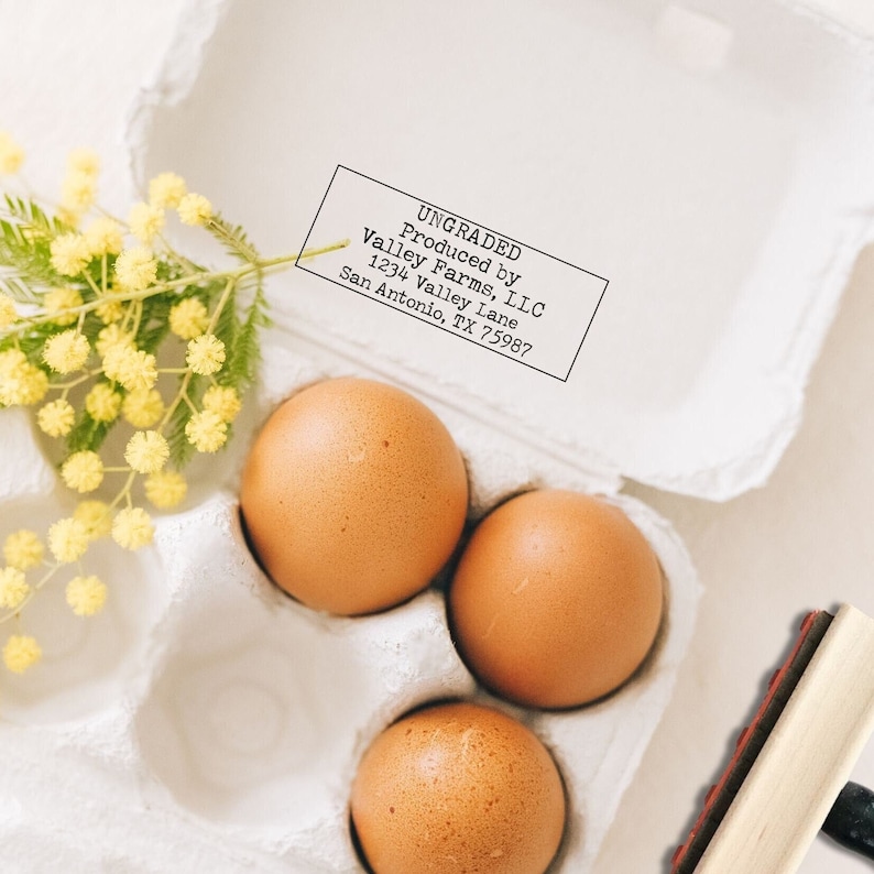 K&ouml;nnte beinhalten: Ein wei&szlig;er Eierkarton aus Pappe mit drei braunen Eiern und einem Zweig gelber Mimosenbl&uuml;ten. Ein rechteckiger Gummistempel mit Holzgriff ist zu sehen, der den Text tr&auml;gt: UNGRADED, Produced by Valley Farms, LLC, 1234 Valley Lane, San Antonio, TX 75987.