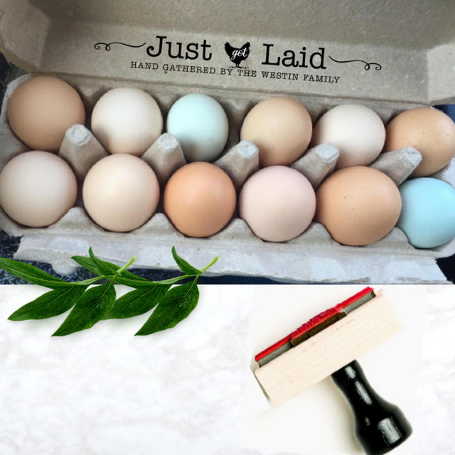 Custom Egg Cartons Stamp Just Got Laid Egg Carton Rubber Etsy