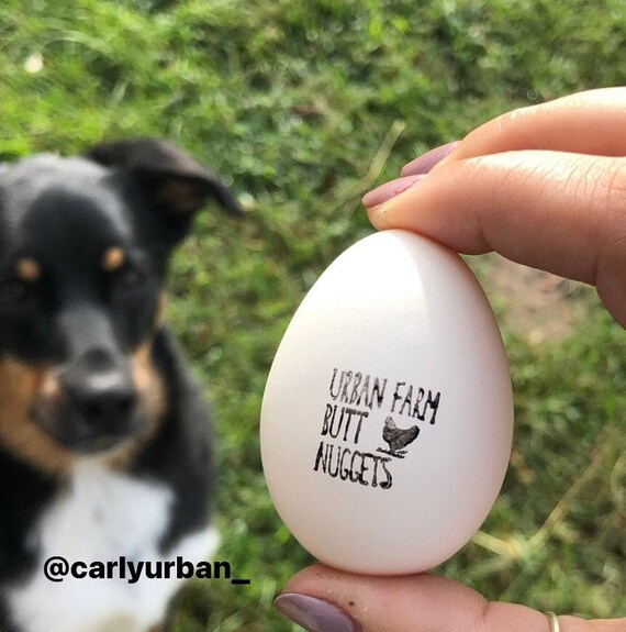 Personalized Egg Carton Stamp: Farm Fresh Chicken, Duck, Quail Eggs