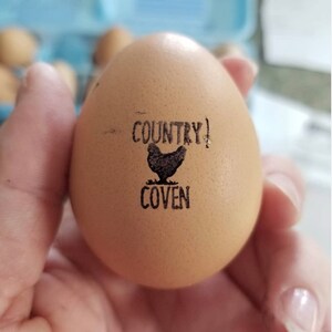 EGG STAMP CUSTOM Chicken Egg Stamps Personalized Egg Stamper, Farm Name Stamp Funny Chicken Owner Gift, Farmers Wife Coop Gift Chicken Lover image 6