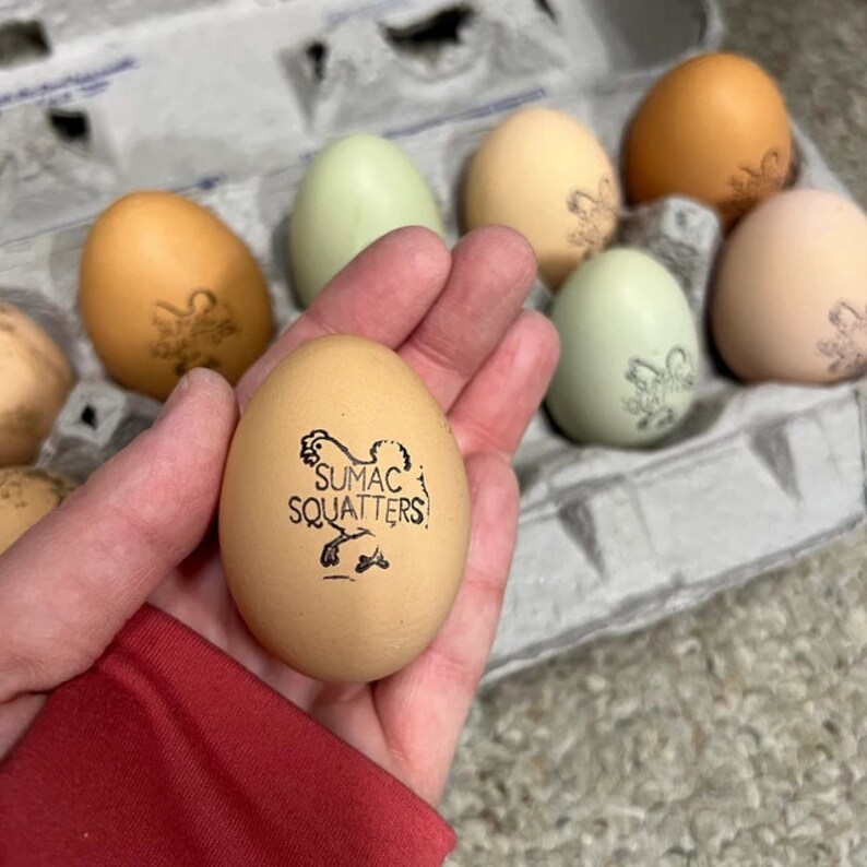 PERSONALIZED EGG STAMPS Custom Chicken Egg Stamp Farm Stamp Etsy