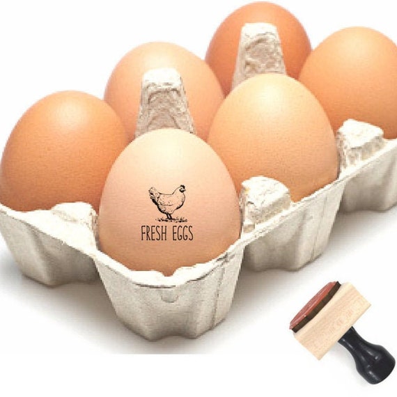Custom Egg Stamps, Fresh Eggs Stamp, Farmhouse Homesteader Gifts, Chicken Gifts, Mini Backyard Chicken Egg, Small Farm Egg Rubber Stamp Il_570xn