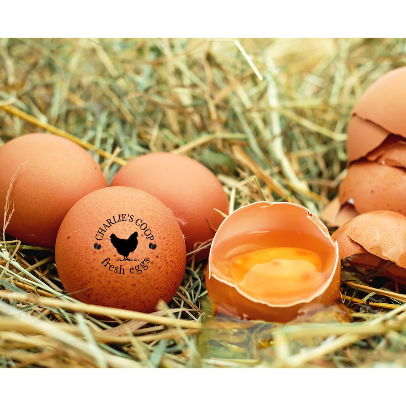 Egg Stamps Personalized Custom Egg Stamp, Chicken Coop Idea, Chicken Egg Stamp, Farm Stamper, Chicken Gifts, Hen Mini Egg Stamp For Farmer image 4