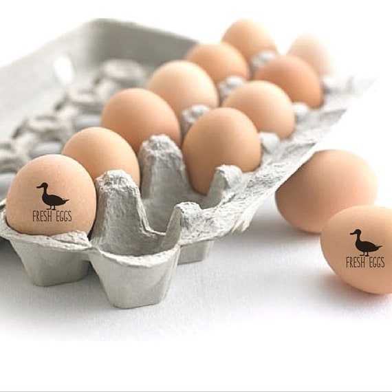 Duck Egg Stamp, Small Duck Stamp, Fresh Eggs, Unique Gift For Duck Lover, Farmers Market Rubber Stamp, Backyard Duck Owner Hobby Farm Gift Il_570xn