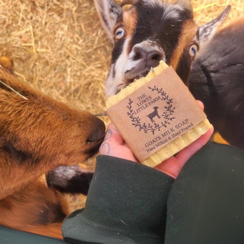 May include: A rectangular bar of soap wrapped in a brown paper label with black text that reads THE LOWES LITTLE FARM GOATS MILK SOAP Hand Milked & Hand Poured, featuring a goat silhouette graphic surrounded by a leafy wreath design.