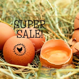 Egg Stamp Mini Egg Stamps Chicken Egg Stamper Chicken Gift, Fresh Eggs Stamp Chicken Lover Gift, Chicken Coop Farm Eggs Rubber Stamp
