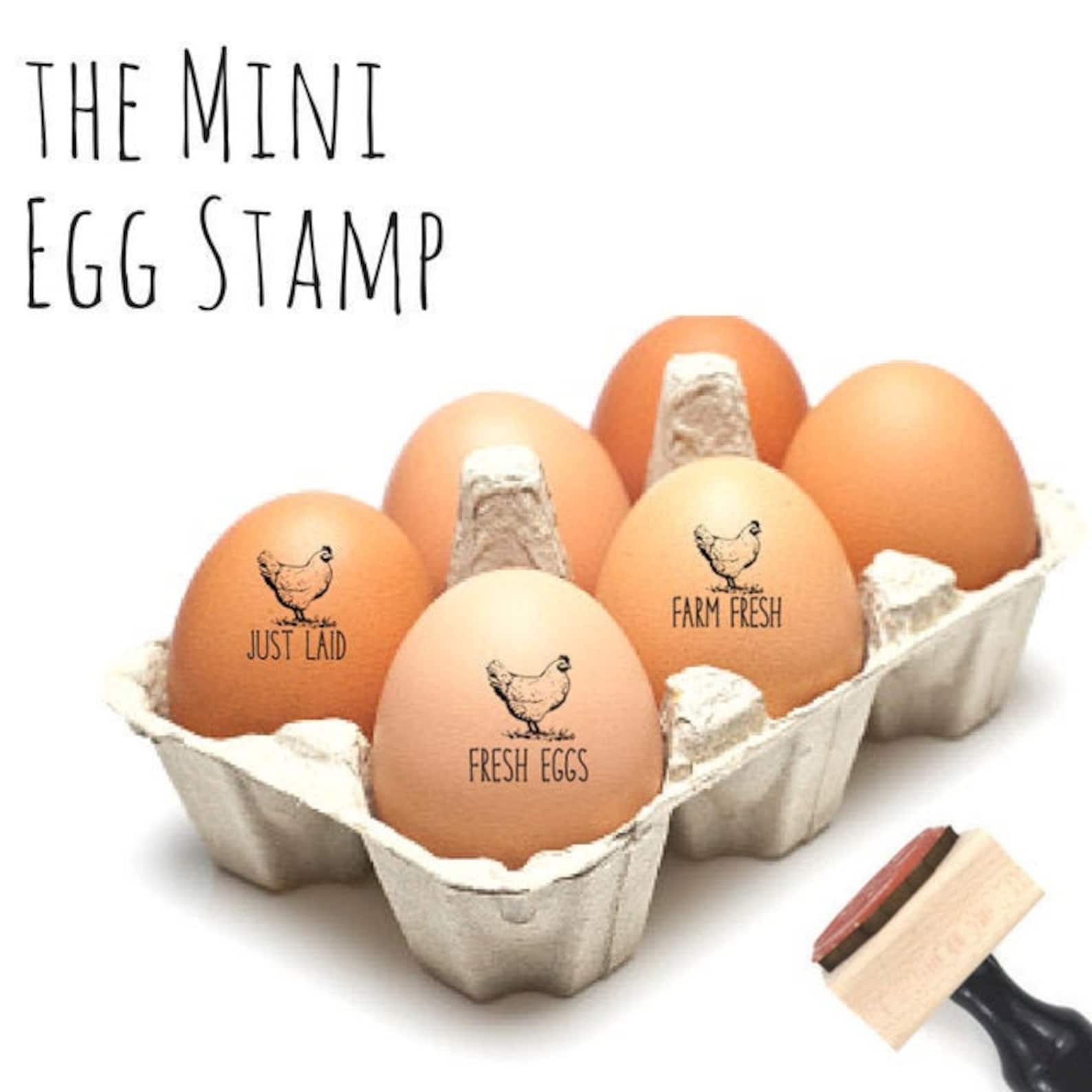 Fresh Egg Stamps Farm Fresh Eggs Chicken Stamps Small Rubber Etsy