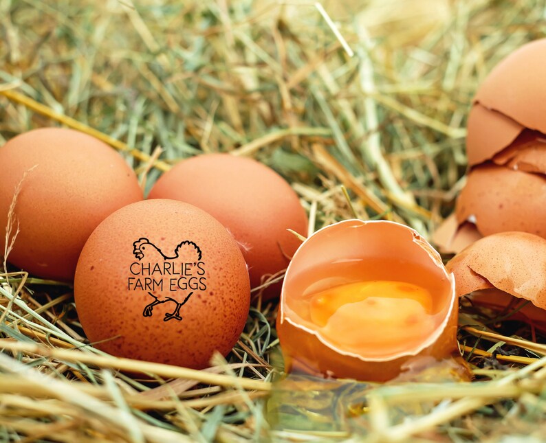 Chicken Coop Name Pet Chicken Gift For Chicken Owner Hen