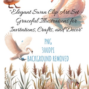 Elegant Swan Clip Art Set - Illustrations gracieuses pour les invitations, l’artisanat et la décoration