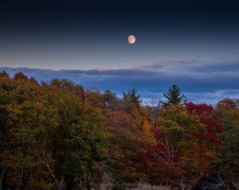 Rising Moon in the Late Fall, fine art print, moon, night shot, New York, New Paltz, Fall photo, Wall art