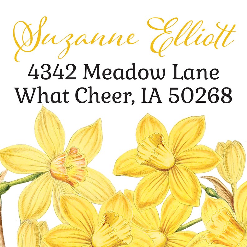 May include: A white address label with a handwritten name "Suzanne Elliott" and address "4342 Meadow Lane, What Cheer, IA 50268". The label is decorated with yellow daffodils.