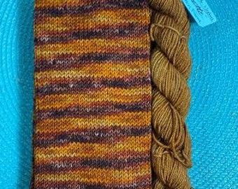 Sock Tube Kit, Tube w/ Matching Mini to Complete Your Socks, Kettle Dyed, Yak Merino Nylon Blend, 70 grams