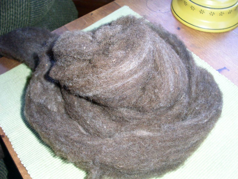 Shave /'Em to Save /'Em California Variegated Mutant Dark Chocolate Brown w Gray CVM Roving SE2SE