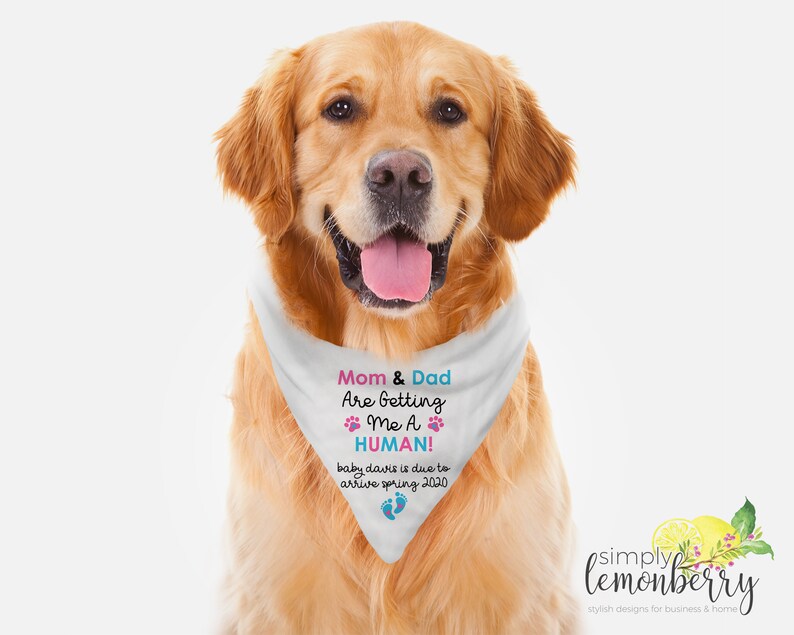 Pregnancy Announcement Dog Bandana Personalized Dog Neckwear Etsy