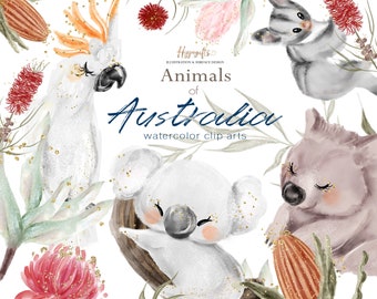 Images clipart aquarelle animaux australiens, fleurs australiennes (téléchargement numérique)