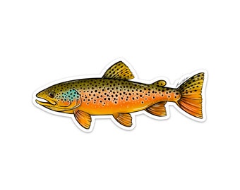 May include: A brown trout with orange and yellow markings and black spots. The fish is illustrated in a cartoon style.
