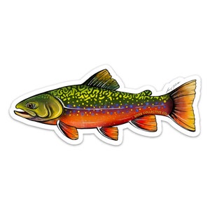 Brook Trout Sticker Decal - 20% flows back into local rivers!