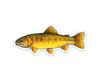 May include: A sticker featuring a detailed illustration of a brown trout with yellow and orange markings. The sticker has a white outline and the text "River Collective" is printed on the fish's side.
