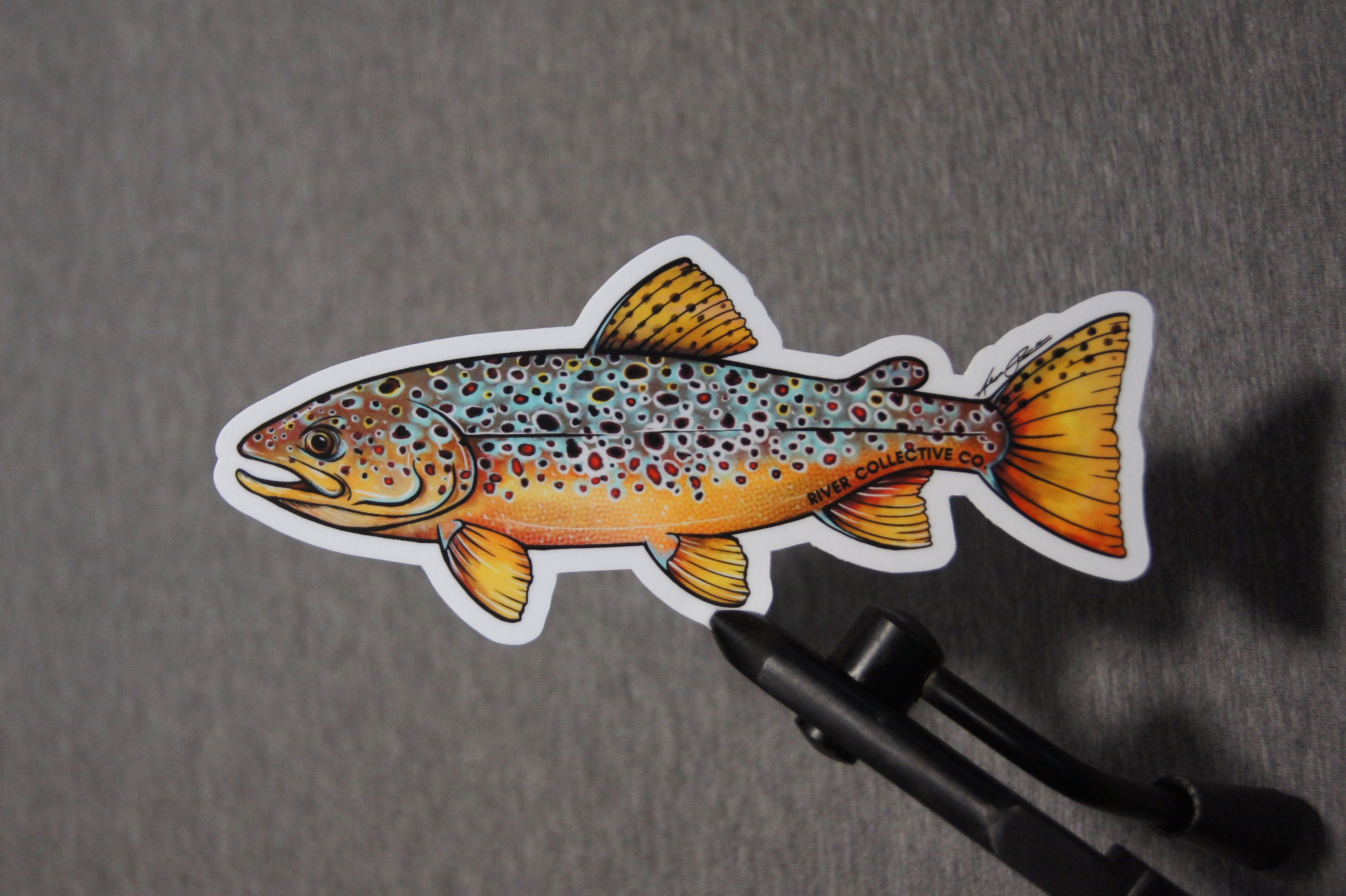 50Pcs Fly Fishing Stickers Bass Boat Decals Trout Crappie Snook Decal Lake  Fishing Car Decals Tackle Box : : Sports & Outdoors