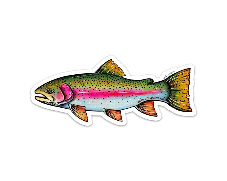 Rainbow Trout Sticker Decal 20% Flows to Western Rivers image 1