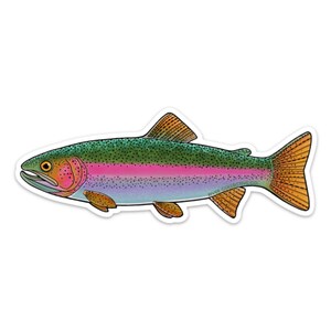 Juvenile Rainbow Trout Sticker Decal - 20% flows back into local rivers!