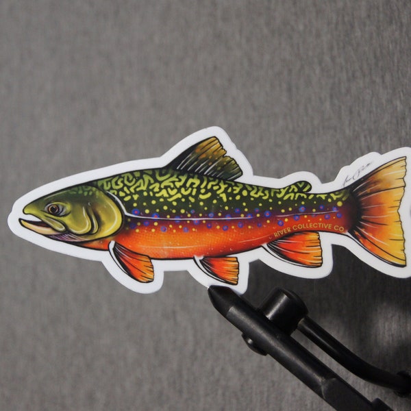 Brook Trout Sticker Decal - 20% Flows to Western Rivers!