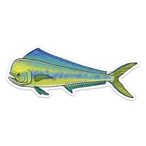 Mahi Mahi Sticker Decal - 20% flows back into local watersheds!