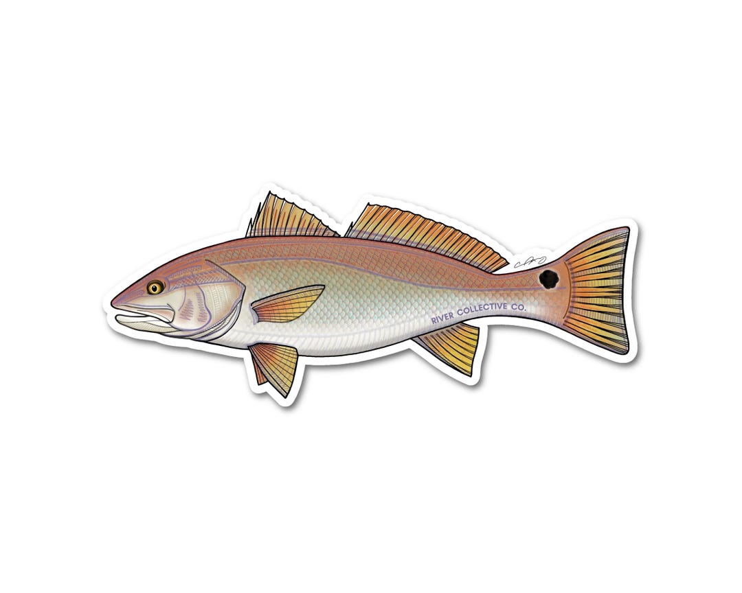 Redfish Sticker Decal - 20% DONATED Into Local Conservation Nonprofits ...