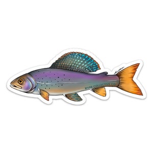 May include: A sticker of a colorful fish with a purple body, orange tail, and blue and green scales. The fish is swimming to the right and has the text "River Collective Co." printed on its side.