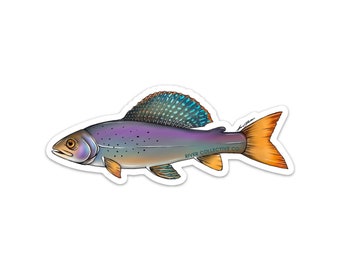May include: A sticker of a colorful fish with a purple body, orange tail, and blue and green scales. The fish is swimming to the right and has the text "River Collective Co." printed on its side.