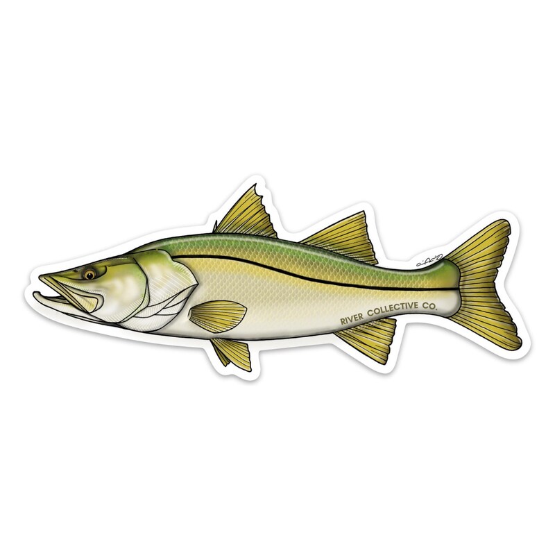 Snook - Etsy