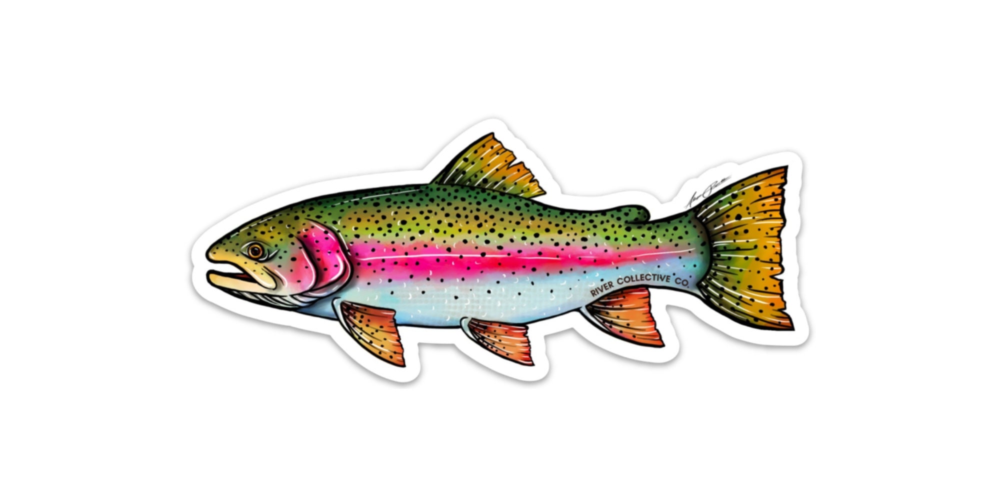 Wood Rainbow Trout .snow Capped Mountains With Pine Trees. Fishing