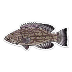 Black Grouper Sticker Decal - 20% flows back into local watersheds!