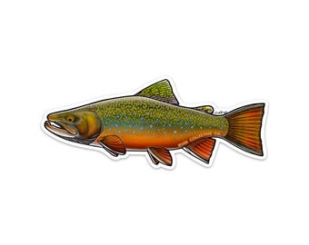 Brook Trout Sticker Decal - 20% DONATED into local conservation nonprofits!