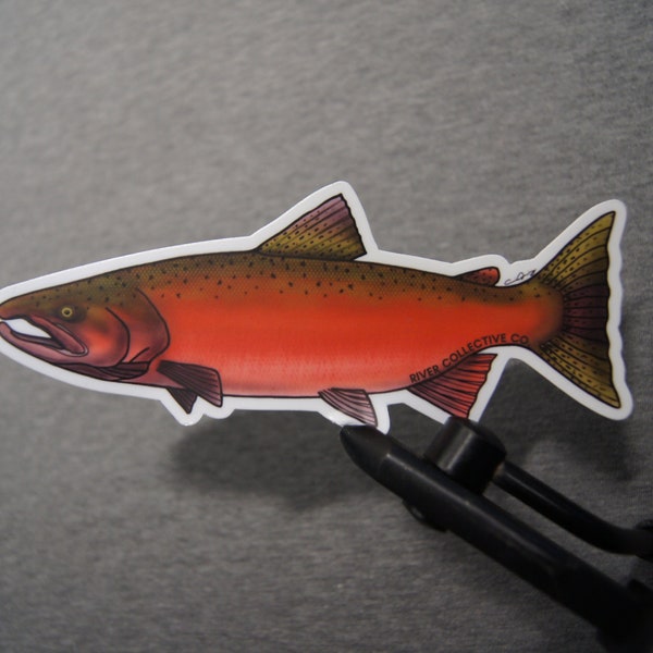 Chinook Salmon Sticker Decal - 20% Flows to Western Rivers!