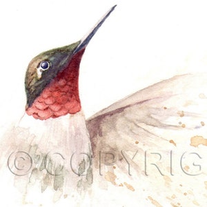 No 40, Carte de vœux, aquarelle, watercolor