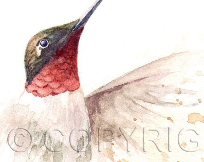 No 40, Greeting card, watercolor, watercolor