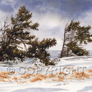 No 54, Carte de vœux, aquarelle, watercolor