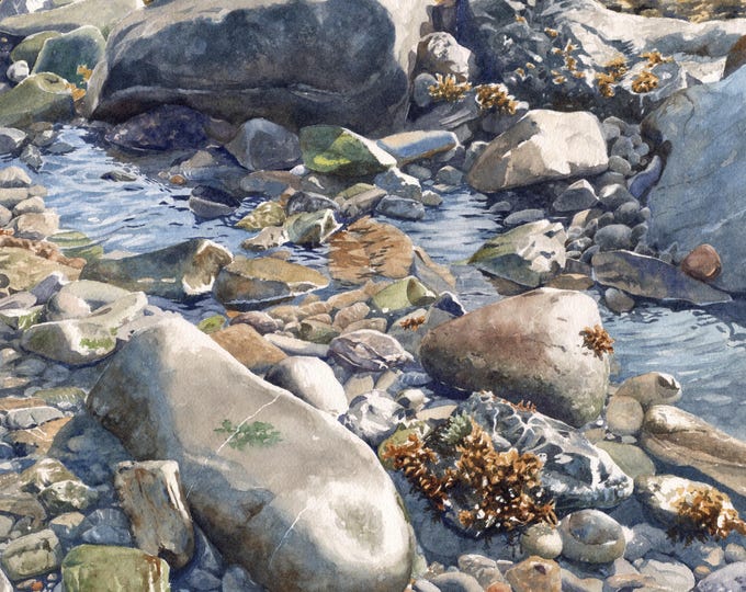 No. 71, « Marée basse »