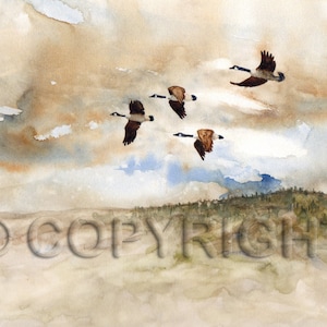 No 49, Carte de vœux, aquarelle, watercolor