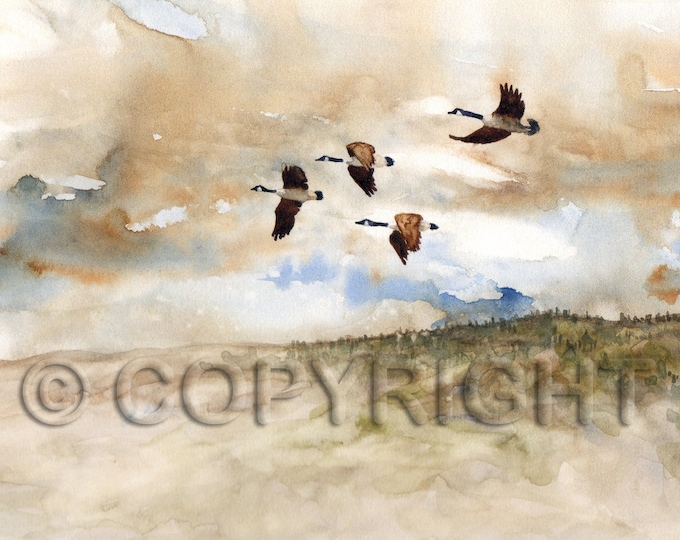 No. 49, Greeting card, watercolor