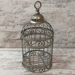 Cottagecore Hanging Bird Cage: Rusty Metal Garden Decor