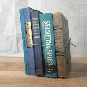Blue Vintage Book Stack: Shelf Decor, Wedding Display