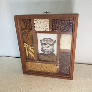 1970s Owl Art Piece Feat. Grains, Rice, Beans, Etc | Vintage Owl Art 1970s | 1970s Wall Art w/ Owl and Wheat/Grains/Rice/Beans 8x10&quot;