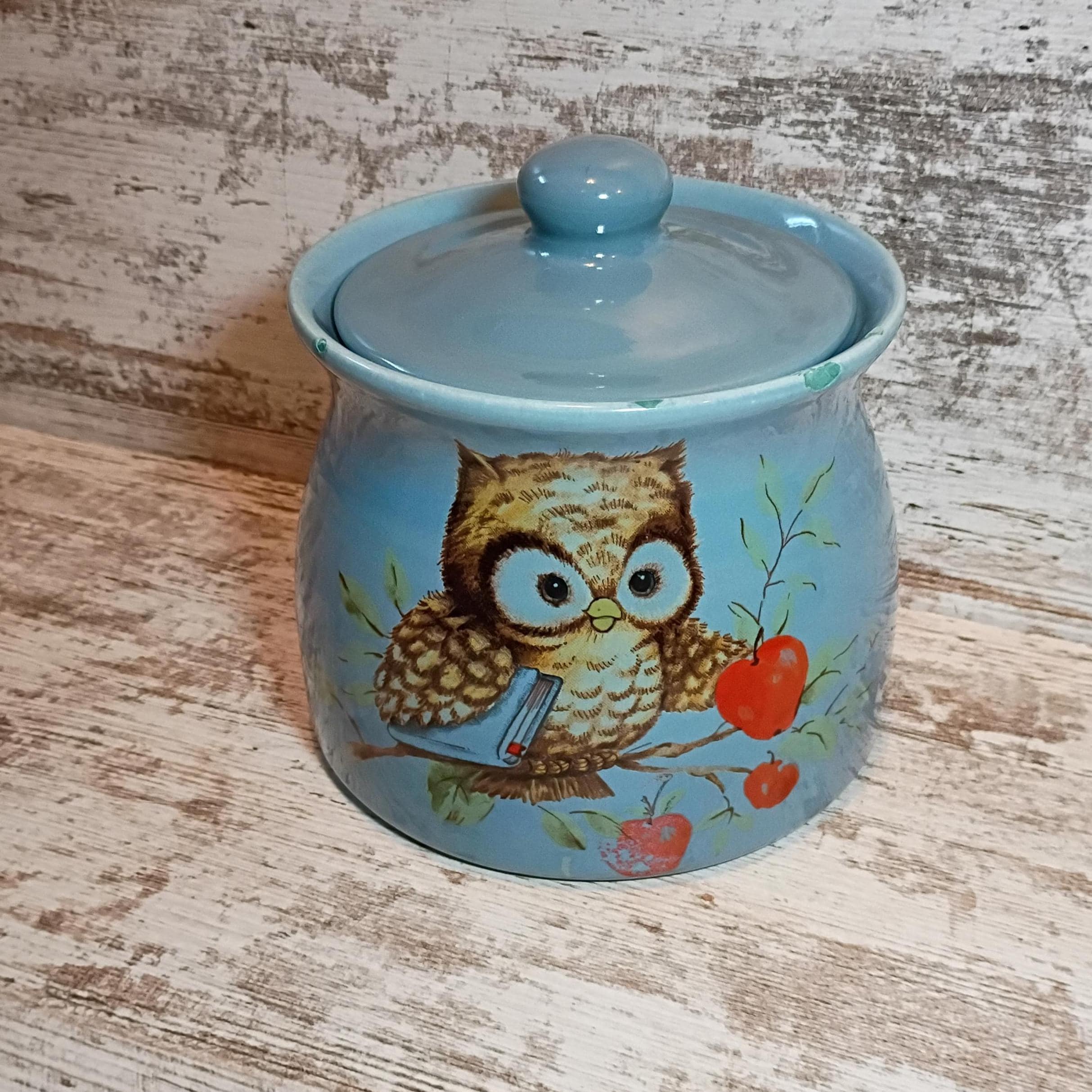 1960s Blue Ceramic Owl Canister Vintage Cookie Jar, Anthropomorphic Motif 6"